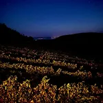 Antmann Bor Terasz 3* Balatoncsicsó