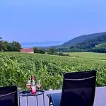 Antmann Bor Terasz 3* Balatoncsicsó
