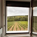 Antmann Bor Terasz 3* Balatoncsicsó