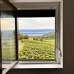 Panzió Antmann Bor Terasz Balatoncsicsó