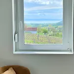 Panzió Antmann Bor Terasz 3*