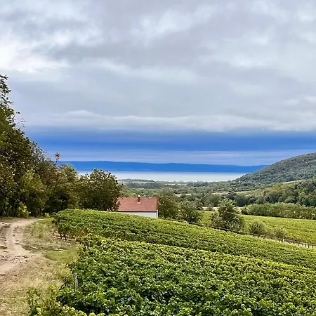 Antmann Bor Terasz Szallas לינה וארוחת בוקר Balatoncsicso