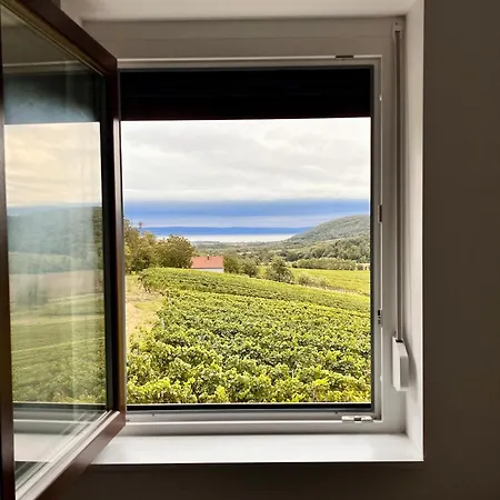 Bed and breakfast Antmann Bor Terasz Szallas Balatoncsicso