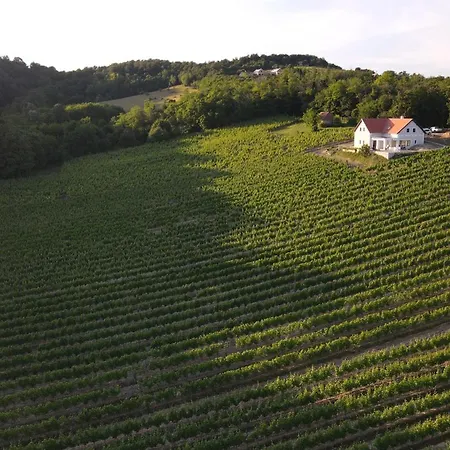 Antmann Bor Terasz Szallas Balatoncsicso