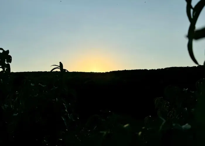 Antmann Bor Terasz Szallas 3*