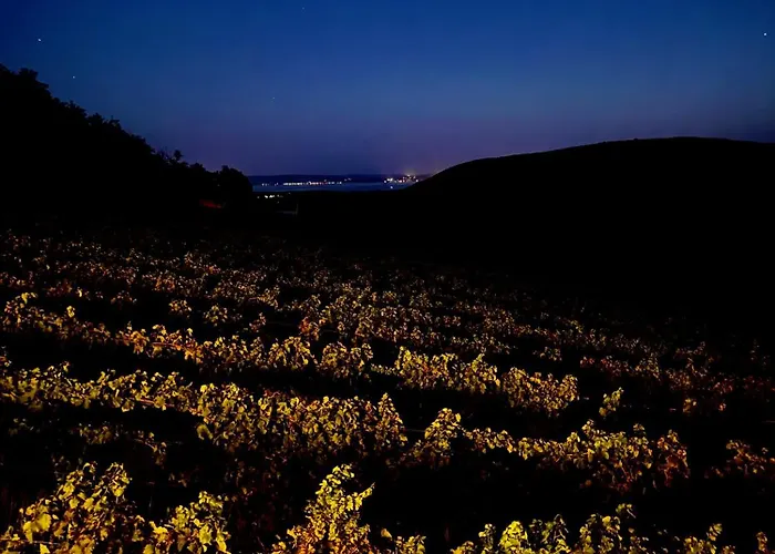 Antmann Bor Terasz Szallas 3* Balatoncsicso