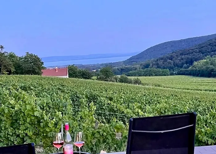 Antmann Bor Terasz Szallas 3* Balatoncsicso