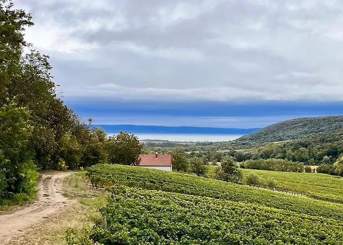 Antmann Bor Terasz Szallas לינה וארוחת בוקר Balatoncsicso