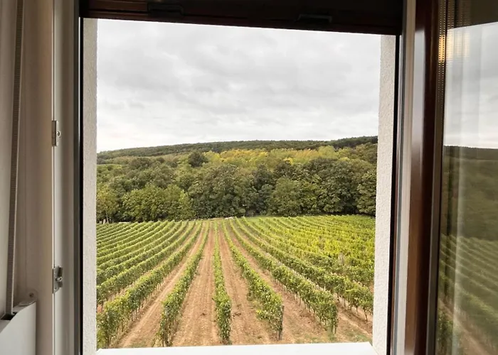 Antmann Bor Terasz Szallas 3* Balatoncsicso