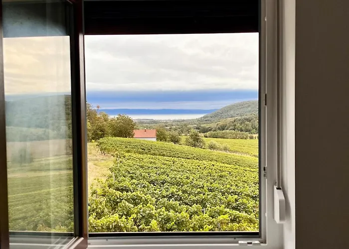 לינה וארוחת בוקר Antmann Bor Terasz Szallas Balatoncsicso