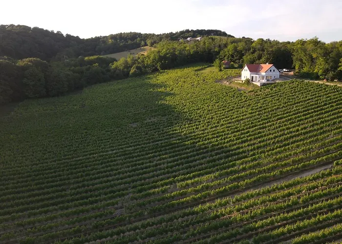 Antmann Bor Terasz Szallas Balatoncsicso